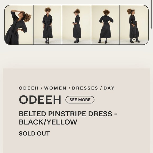 Odeeh Belted Pinstripe Wrap Dress - Picture 15 of 16